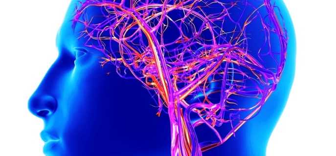 Патологии кровеносных сосудов головного мозга