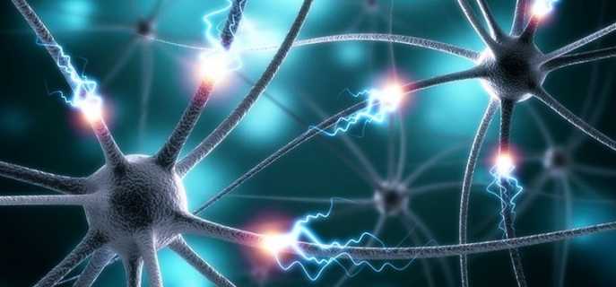 Разновидности эпилептических припадков