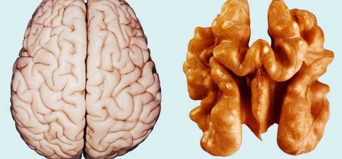 Способы синхронизировать полушария мозга