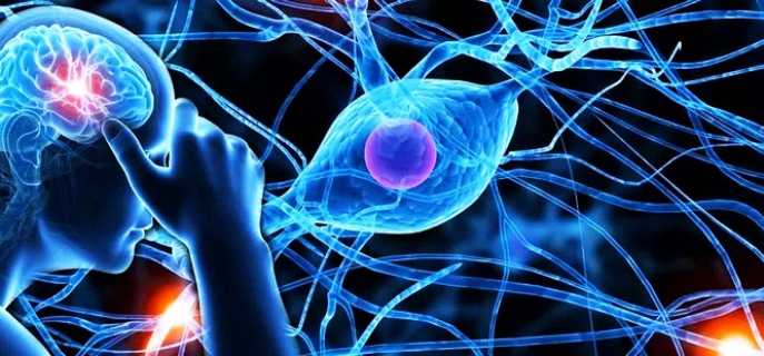 Причины, симптомы и лечение патологии Гентингтона, склонность к болезни