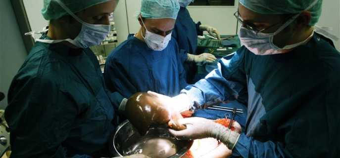 Возможна ли пересадка головного мозга