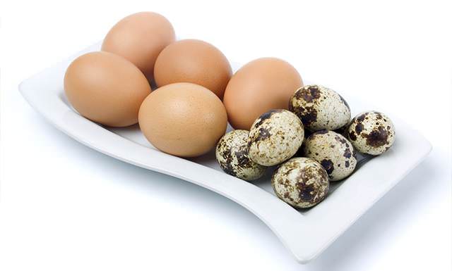Куриные яйца против перепелиных