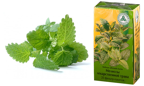 Мелиса лекарственная, трава