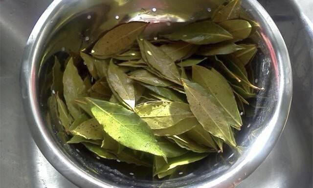 Отвар лаврового листа