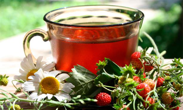 Чай из листьев земляники