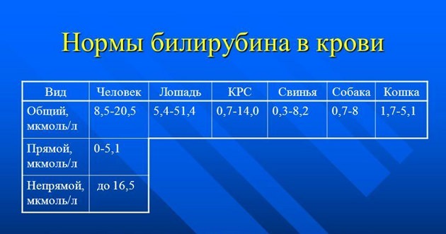 Нормы билирубина