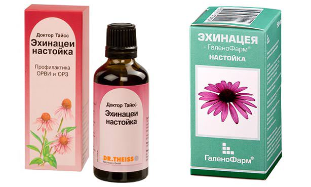 Эхинацея, настойка