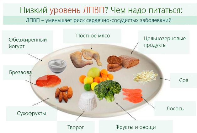 уровень лпвп