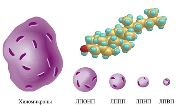 Молекула холестерина