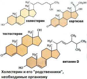 Причины, симптомы, лечение и профилактика повышенного холестерина