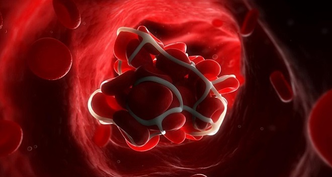 белок в организме