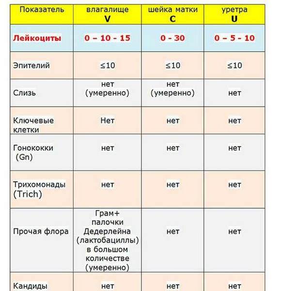 Детальная расшифровка анализа мазка на флору у женщин