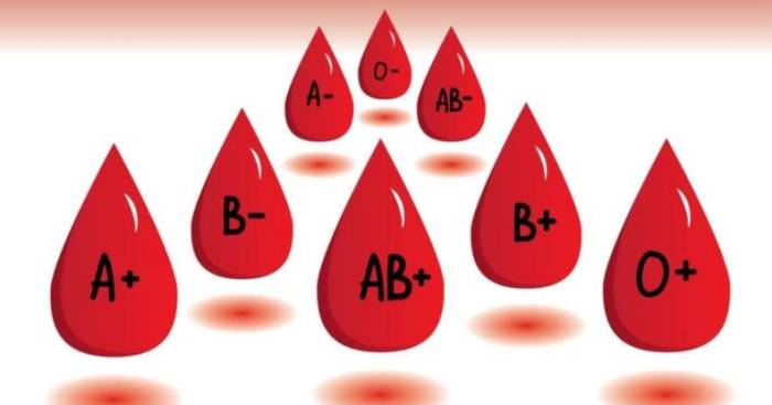 Самая редкая группа крови статистика в России и в мире