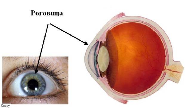 Лопнул сосуд в глазу причины, что делать и как лечить