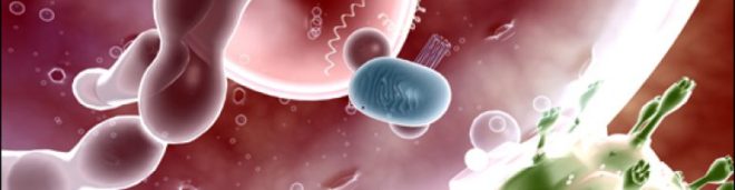 антитела в крови