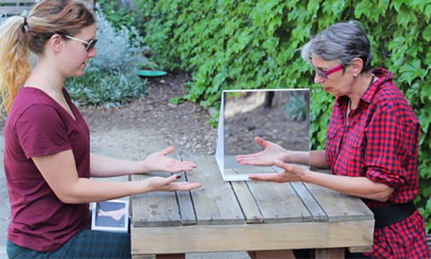 Разрабатывание парализованной руки в зеркальной призме