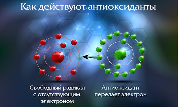 Как работают антиоксиданты