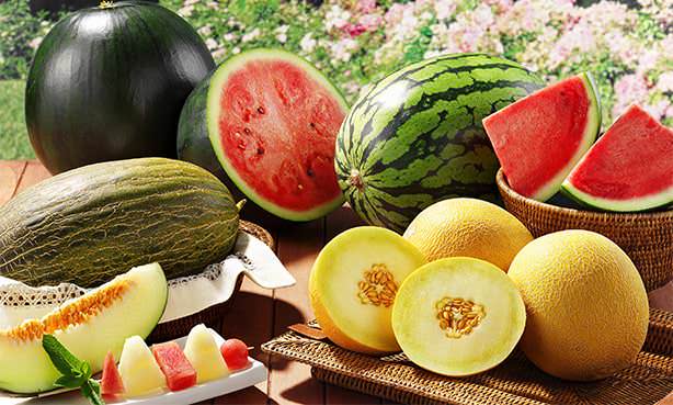 Арбуз и дыня