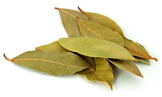 Лавровые листья