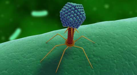 dvs_sindrom_prichiny ДВС-синдром (диссеминированное внутрисосудистое свертывание крови)