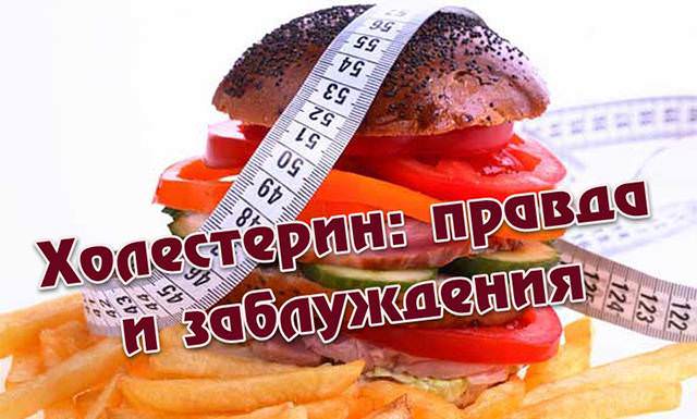 Холестерин: правда и вымыслы