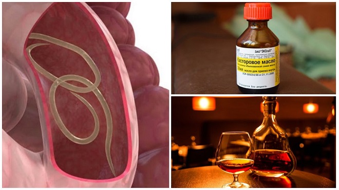 Коньяк и касторка от паразитов