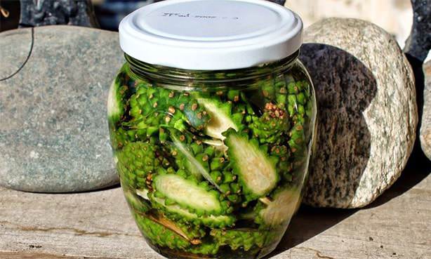 Настойка из сосновых шишек на водке