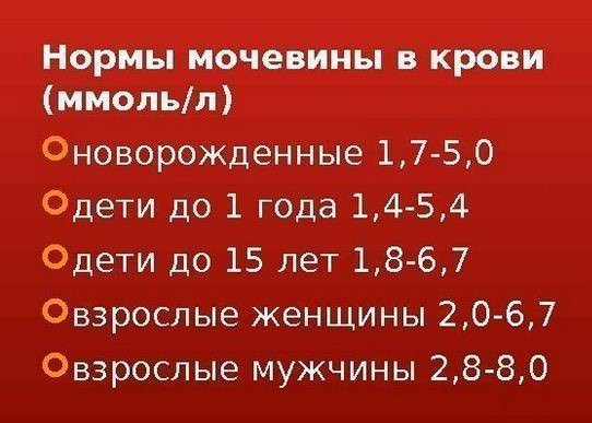 норма мочевины