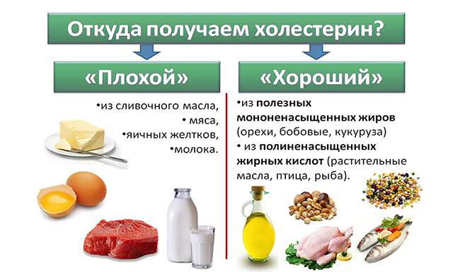Продукты с полезным и вредным холестерином