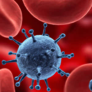 Расшифровка и сдвиги лейкоцитарной формулы