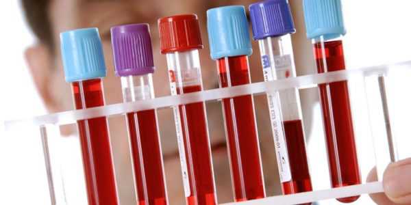 эритроциты крови