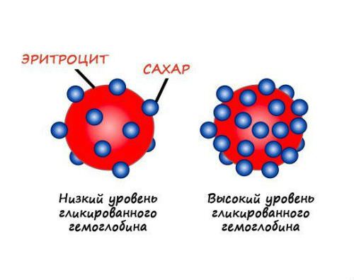 Гликированный гемоглобин