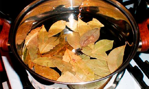 Отвар лавровых листьев