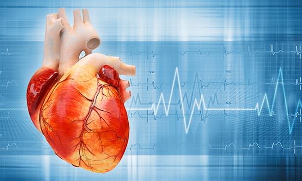 Частое сердцебиение