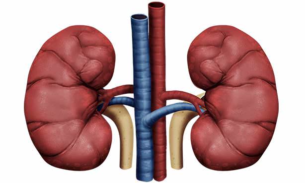 Хроническая почечная недостаточность