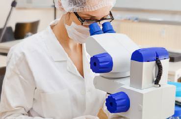 биохимический анализ крови расшифровка