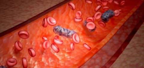 bakteriemiya_krovotok Причины появления бактериемии, ее диагностика и лечение