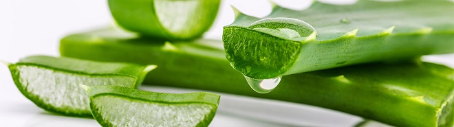сок алоэ в гинекологии