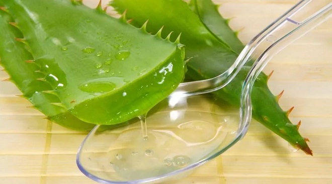 алоэ для лечения эрозии