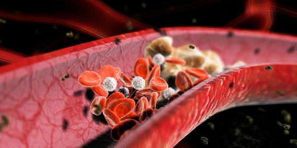 тробмоциты в крови