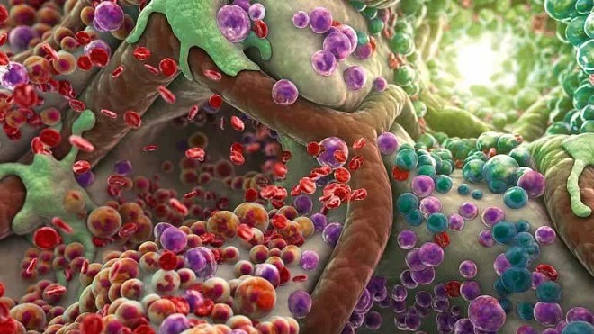 токсины в организме