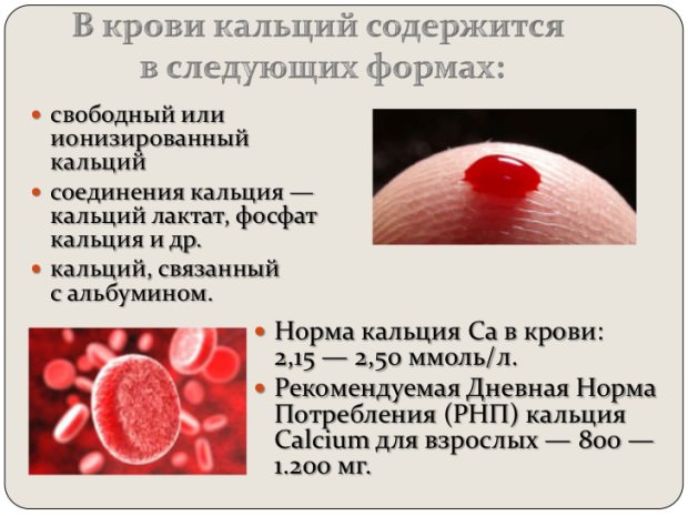 кальций в крови