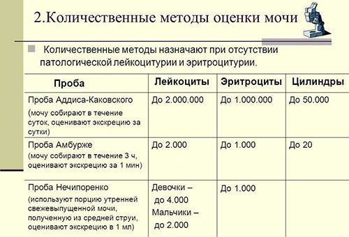 Анализ мочи по Нечипоренко Анализ мочи по Нечипоренко