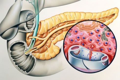 Инсулин Инсулин
