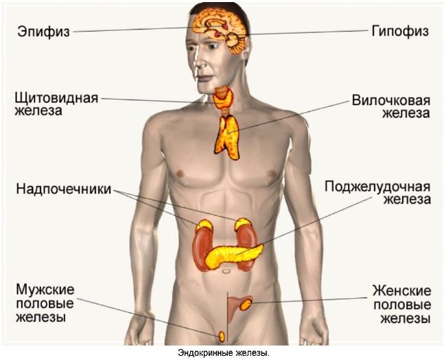 Неходжкинские лимфомы