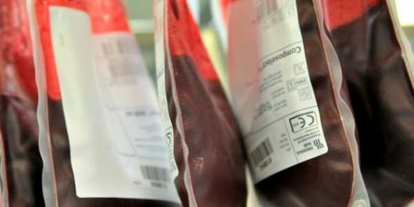 кровь и эритроциты