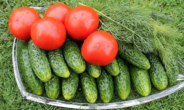 Томаты, огурцы