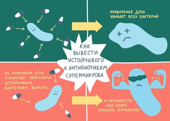 Сепсис крови что это такое, последствия и лечение