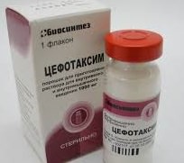 Цефотаксим